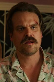 A profile picture of David Harbour