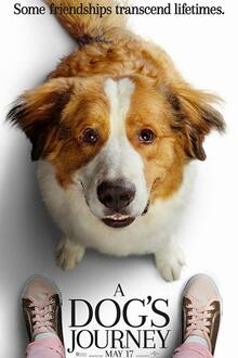 A dog's journey