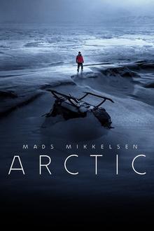 Arctic The movie poster of Arctic