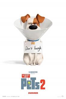 The Secret Life Of Pets 2