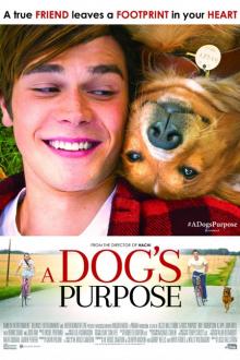 A dog's purpose