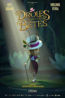 Drôles de petites bêtes
