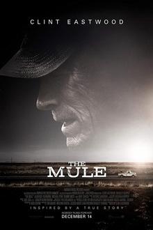 Ciné Breakfast: The Mule