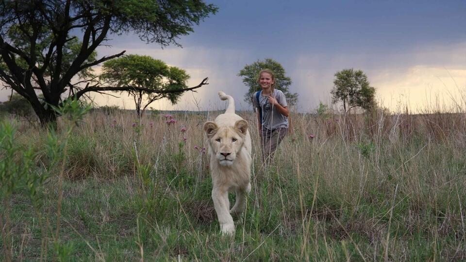 L Enfant Et Le Lion Blanc Kinepolis Luxembourg L Enfant Et Le Lion Blanc Kinepolis Luxembourg